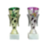 trophies cover_edited_edited.jpg